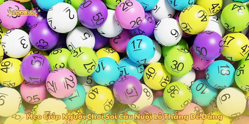 Cần phân tích kết quả mấy ngày trước để áp dụng nuôi lô