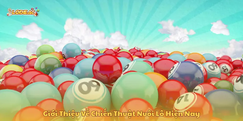 Nuôi lô là chiến lược chơi hiệu quả giúp thắng nhanh