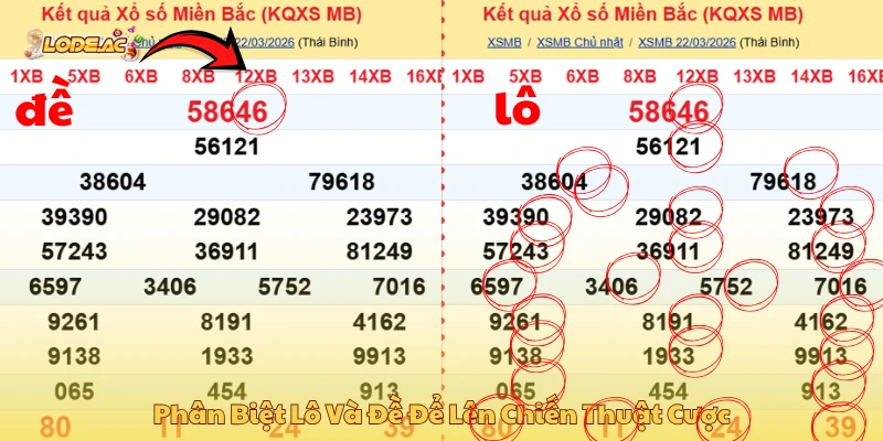 Phân biệt lô và đề để lên chiến thuật cược thích hợp
