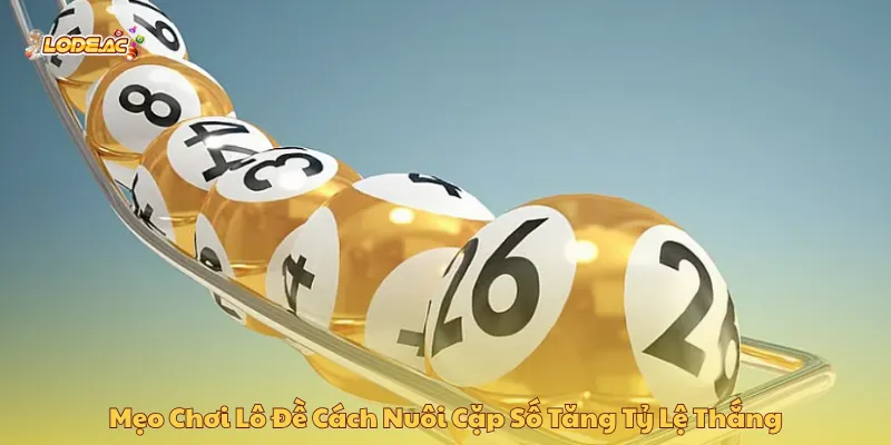 Tận dụng phương pháp mẹo chơi lô đề nuôi theo cặp nhiều ngày