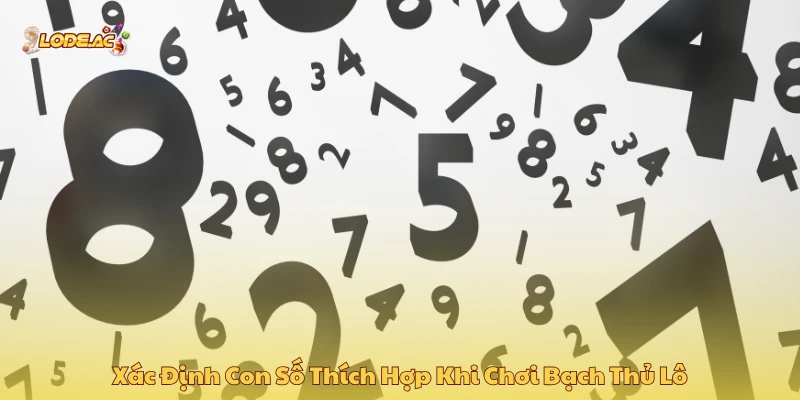 Xác định con số thích hợp khi chơi bạch thủ lô